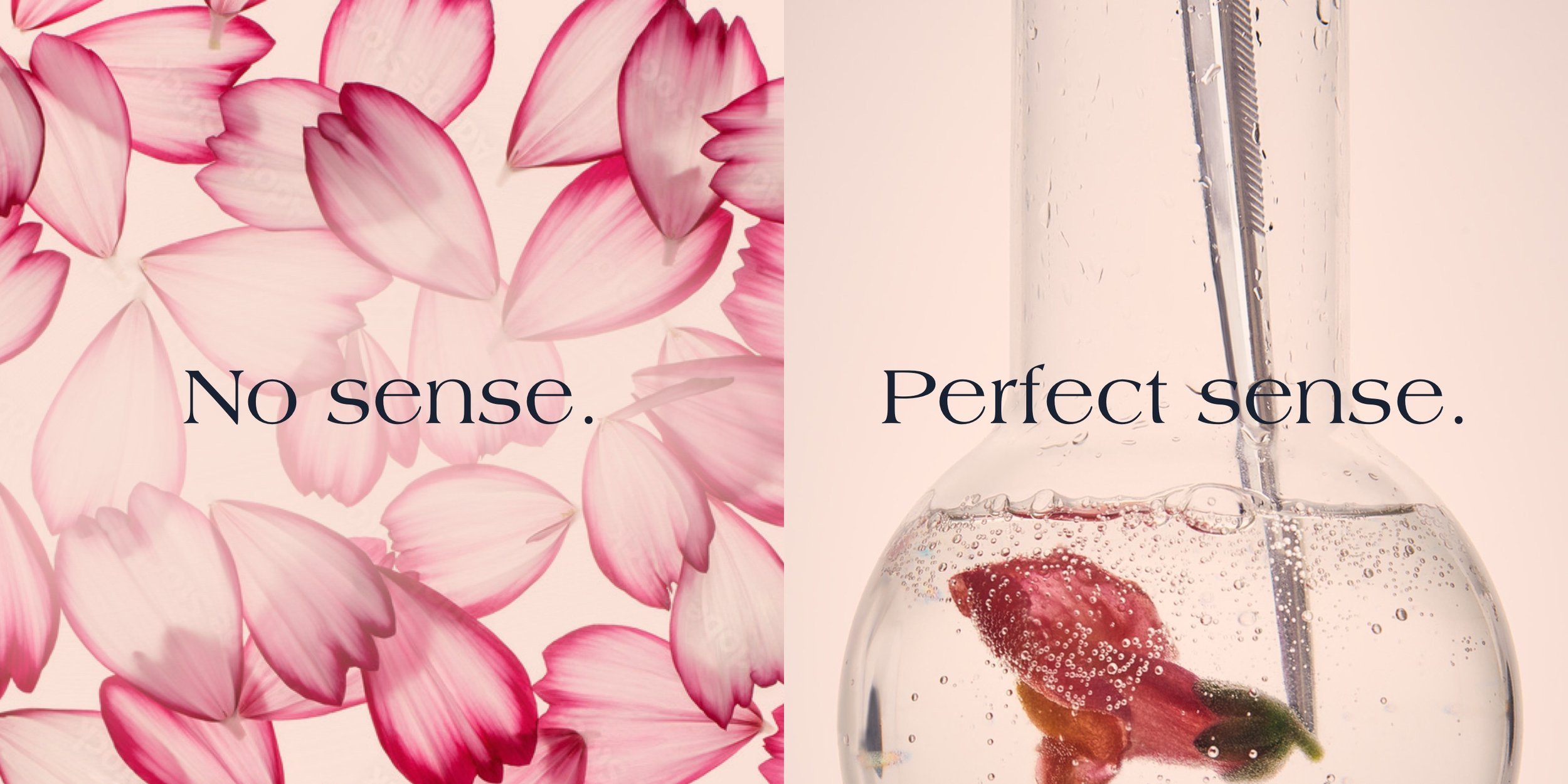 Image split into two parts. The left side shows pink flower petals with the text 'No sense.' The right side shows a glass container with a fruit infuser filled with water and a floating fruit, with the text 'Perfect sense.'
